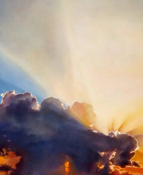 catasta sylvia opera nuvola