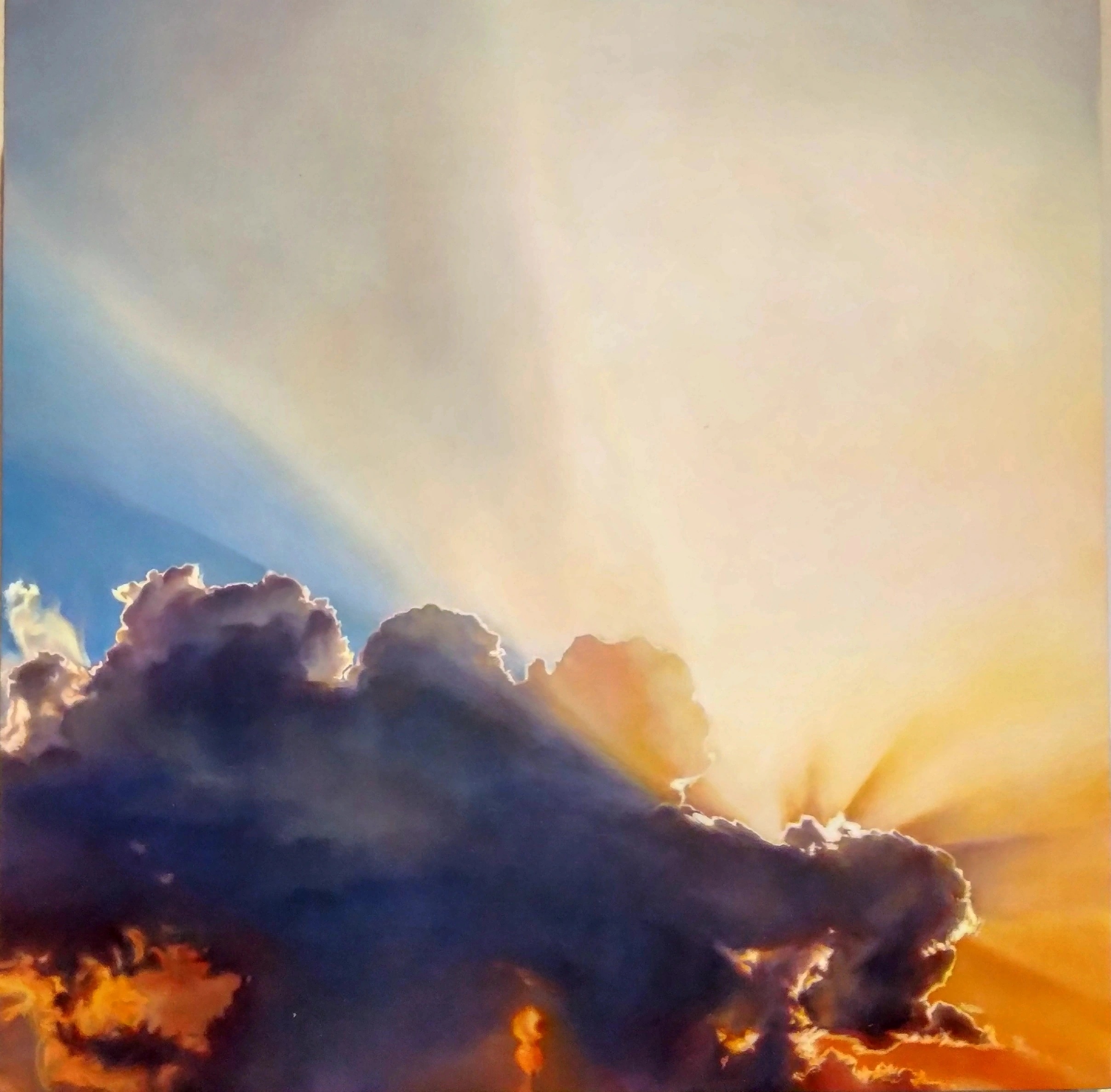 catasta sylvia opera nuvola