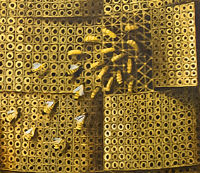 Gasparini Rossetti Arte Contemporanea tecnica mista