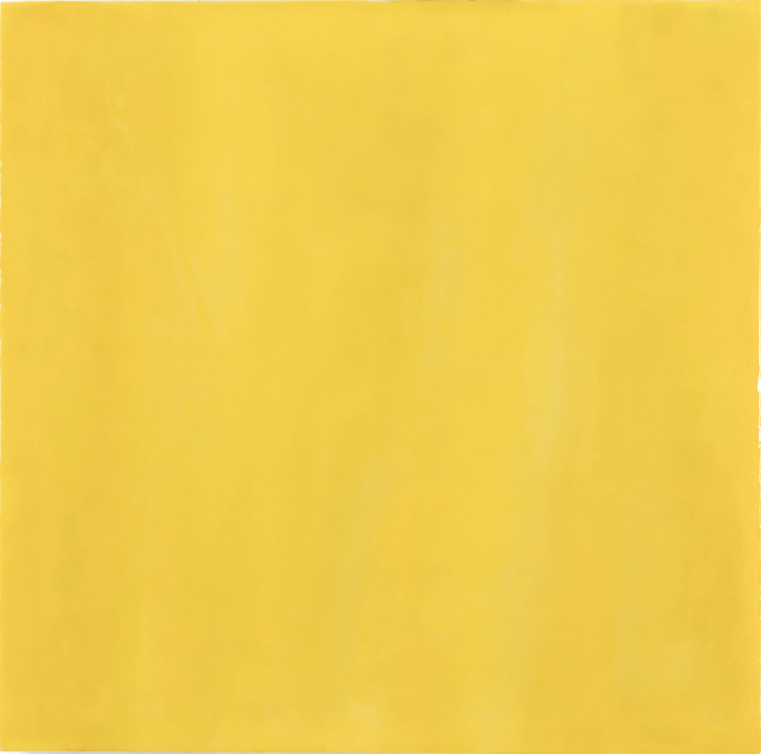 GIALLO MONOCROMO [130]