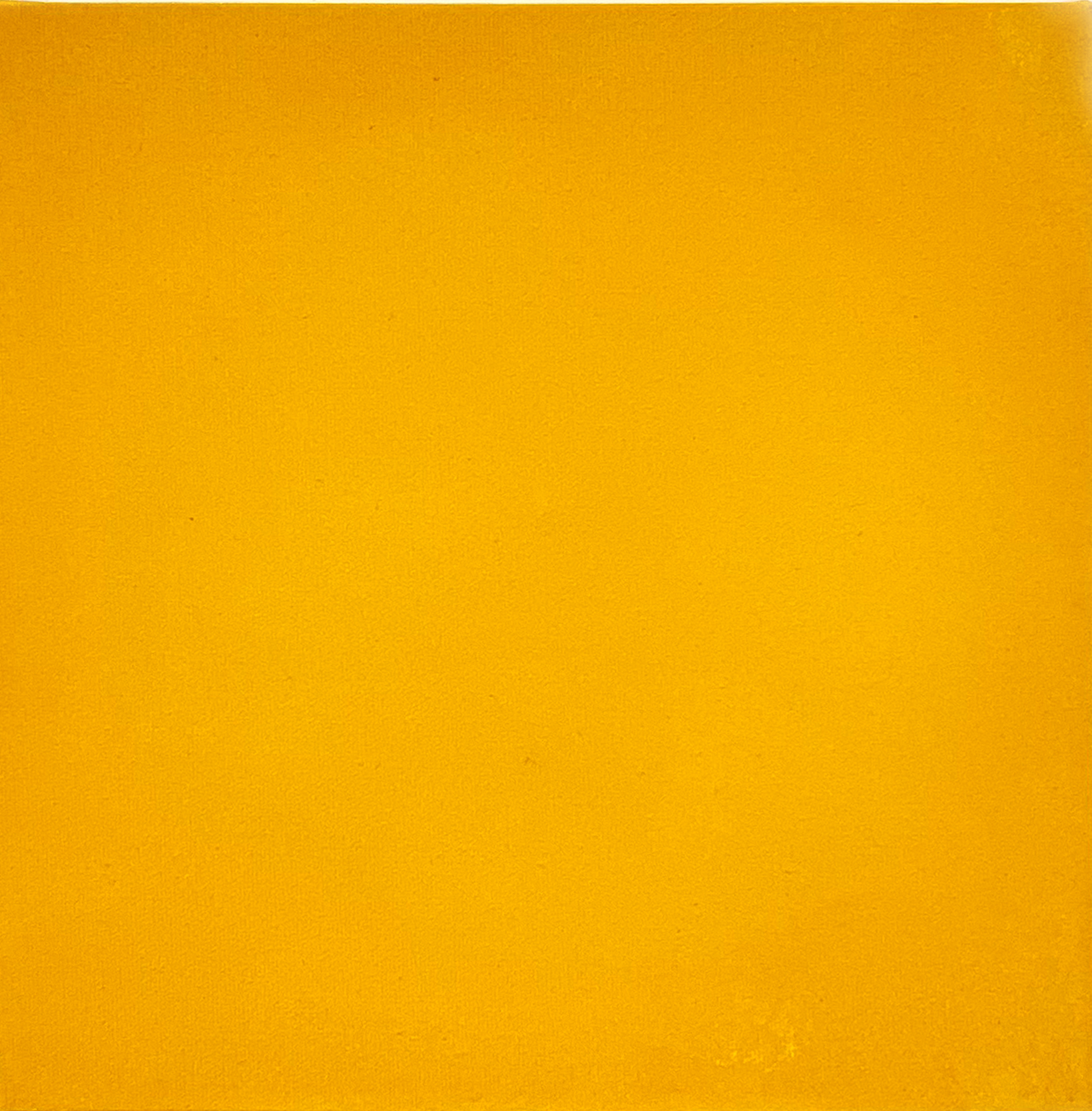 GIALLO MONOCROMO [30]